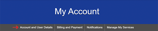 Account and user details