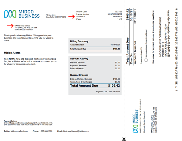 My Account Statement